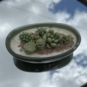 Vela aromática Suculenta